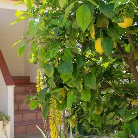 Apartament Arianna *